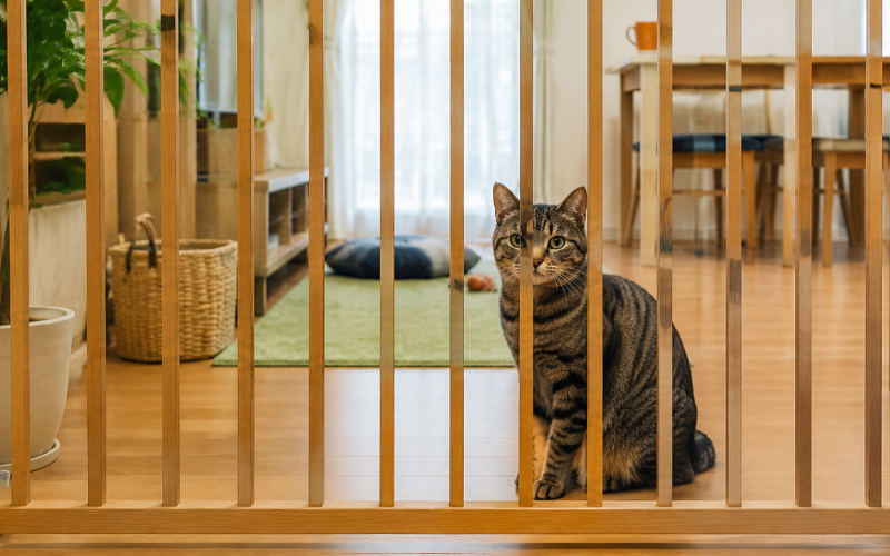 プロフィール背景画像