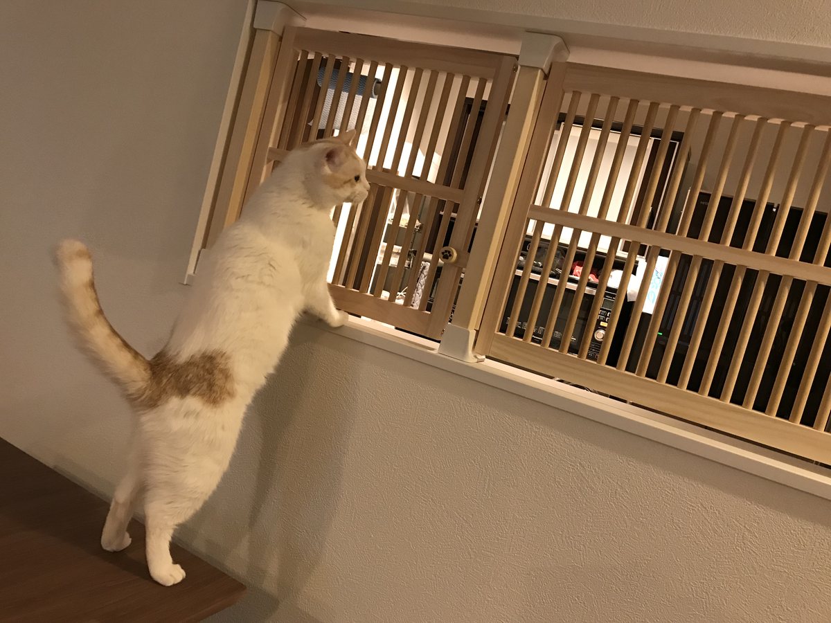 にゃんがーどを玄関に設置した状態（扉タイプ）