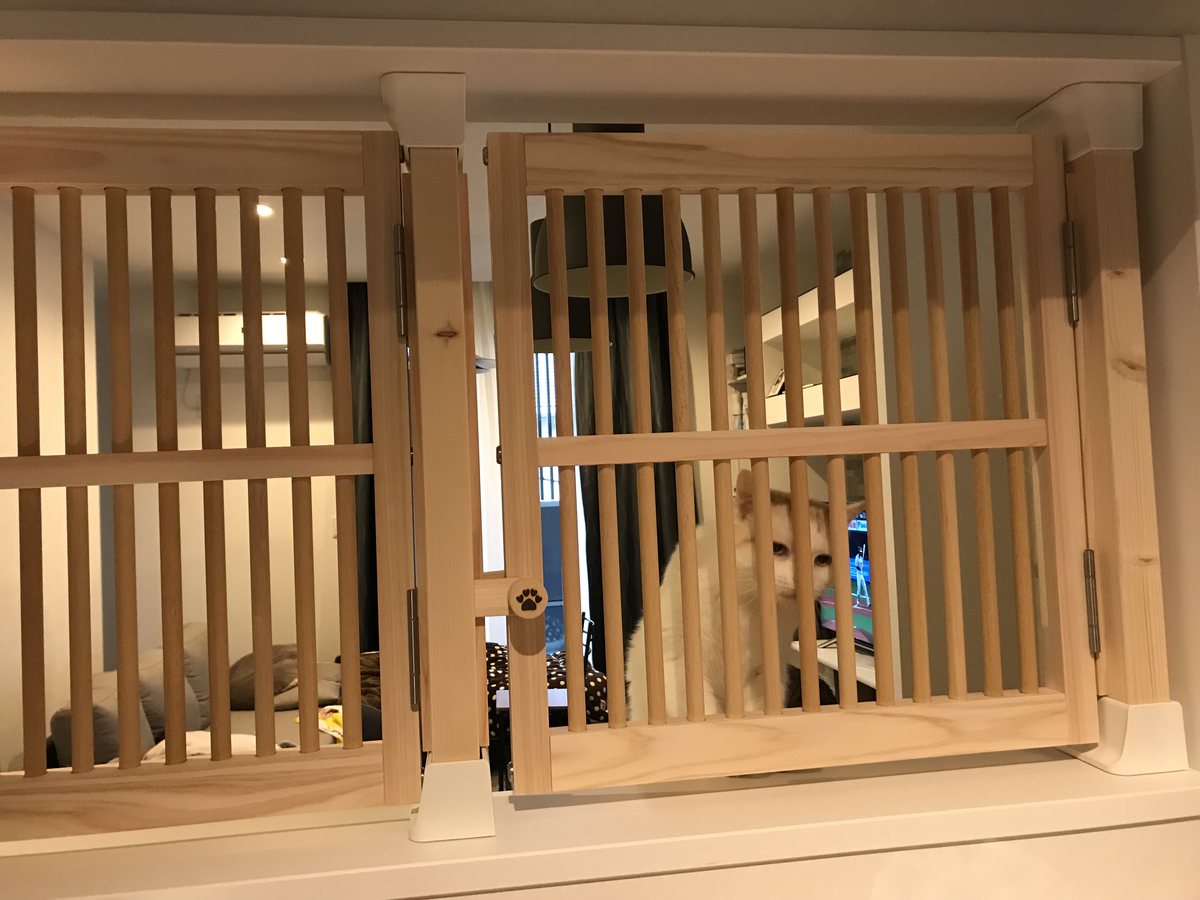 猫が木製の脱走防止フェンスに手をかけている様子